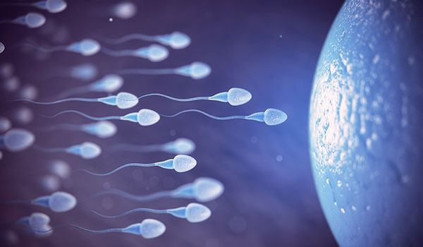 Poor Sperm Motility