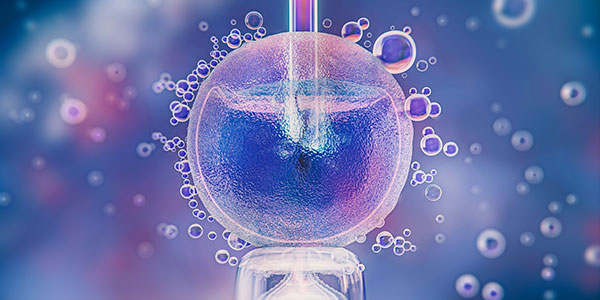 Previous Embryo Transfers