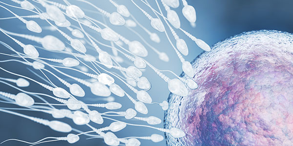 Repeated IVF Failures