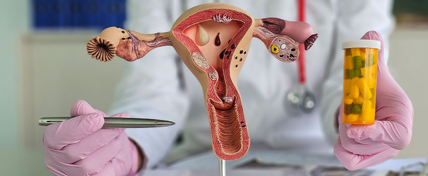 Uterine and implantation factors