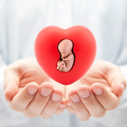 Surrogacy Services