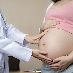 Surrogacy Services