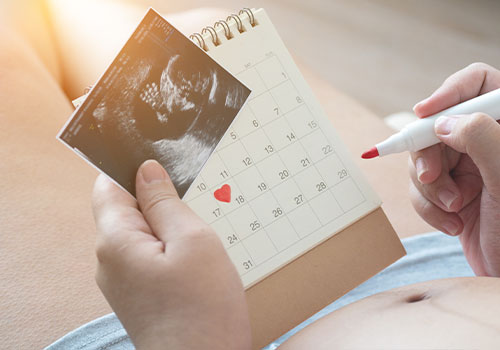 Pregnancy Confirmation Test